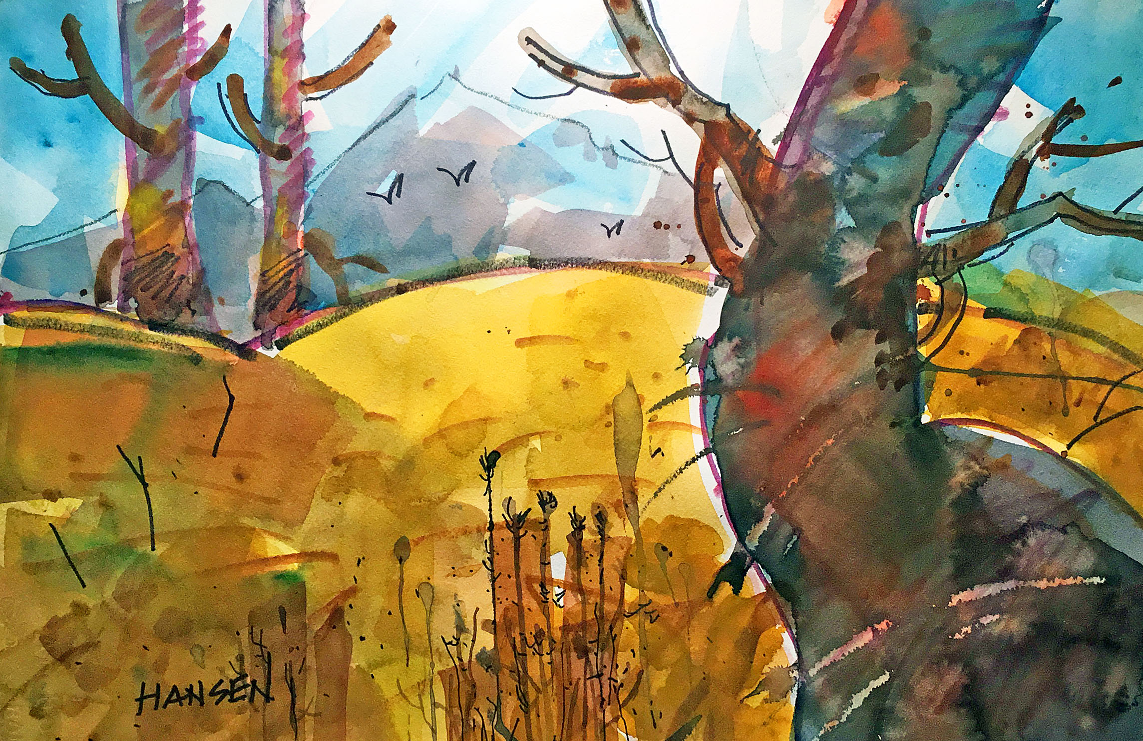 Title: ParkwayTwist, a gnarled tree trunk demands respect.
